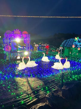 伊豆ぐらんぱる公園に投稿された画像（2023/5/7）