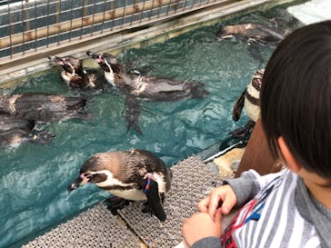 伊豆・三津シーパラダイスに投稿された画像（2023/5/7）