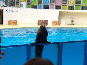 伊豆・三津シーパラダイスに投稿された画像（2023/5/7）