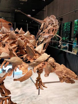 特別展「恐竜博2023」に投稿された画像（2023/5/7）