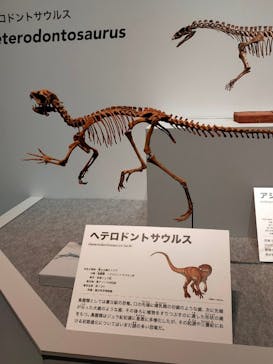 特別展「恐竜博2023」に投稿された画像（2023/5/7）