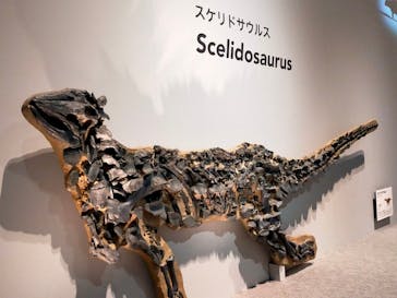 特別展「恐竜博2023」に投稿された画像（2023/5/7）