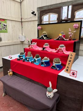 伊豆シャボテン動物公園に投稿された画像（2023/5/5）