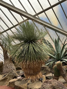 伊豆シャボテン動物公園に投稿された画像（2023/5/5）