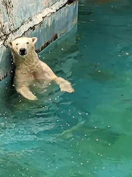 天王寺動物園に投稿された画像（2023/5/7）
