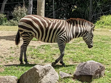 天王寺動物園に投稿された画像（2023/5/7）