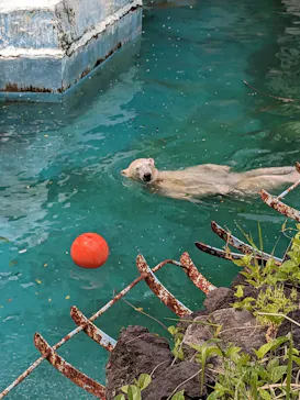 天王寺動物園に投稿された画像（2023/5/7）