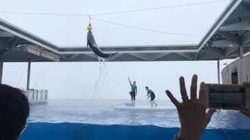 上越市立水族博物館 うみがたりに投稿された画像（2023/5/7）