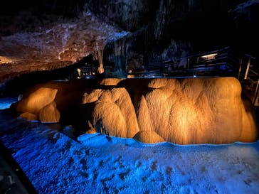 おきなわワールドに投稿された画像（2023/5/7）