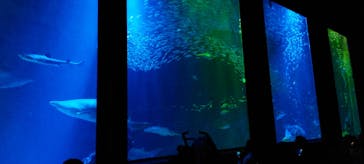 マリンワールド海の中道に投稿された画像（2023/5/7）