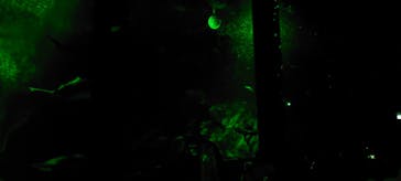 マリンワールド海の中道に投稿された画像（2023/5/7）