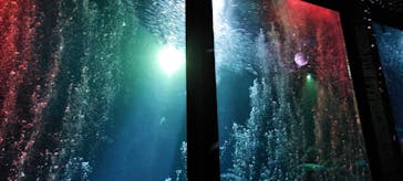 マリンワールド海の中道に投稿された画像（2023/5/7）