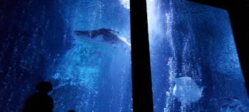 マリンワールド海の中道に投稿された画像（2023/5/7）