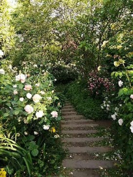 横浜イングリッシュガーデンに投稿された画像（2023/5/7）