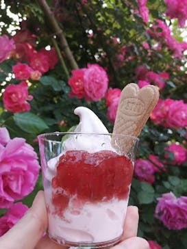 横浜イングリッシュガーデンに投稿された画像（2023/5/7）