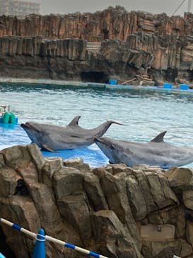 名古屋港水族館に投稿された画像（2023/5/7）