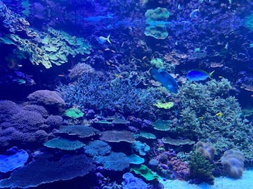 大分マリーンパレス水族館 「うみたまご」に投稿された画像（2023/5/7）