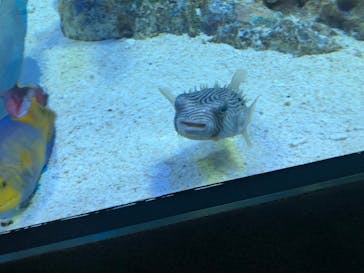 サンシャイン水族館に投稿された画像（2023/5/7）