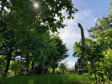 千葉こどもの国 キッズダムに投稿された画像（2023/5/7）