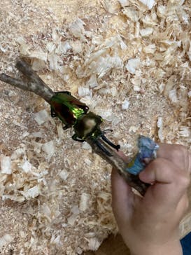 千葉こどもの国 キッズダムに投稿された画像（2023/5/7）