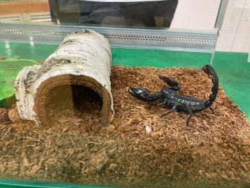 千葉こどもの国 キッズダムに投稿された画像（2023/5/7）