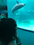 名古屋港水族館に投稿された画像（2023/5/8）