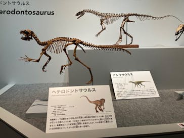 特別展「恐竜博2023」に投稿された画像（2023/5/8）