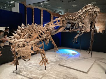 特別展「恐竜博2023」に投稿された画像（2023/5/8）