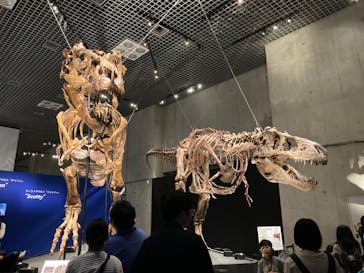 特別展「恐竜博2023」に投稿された画像（2023/5/8）