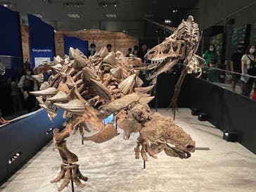 特別展「恐竜博2023」に投稿された画像（2023/5/8）