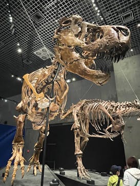 特別展「恐竜博2023」に投稿された画像（2023/5/8）