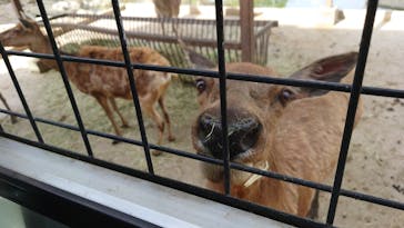 那須サファリパークに投稿された画像（2023/5/8）