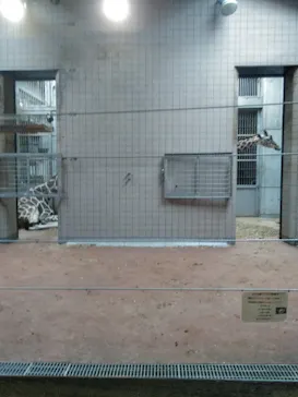 天王寺動物園に投稿された画像（2023/5/8）