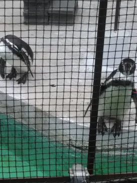 天王寺動物園に投稿された画像（2023/5/8）