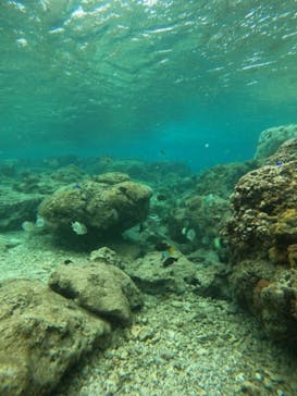 沖縄マリンサービス碧に投稿された画像（2023/5/8）