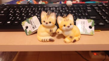 長崎バイオパークに投稿された画像（2023/5/8）