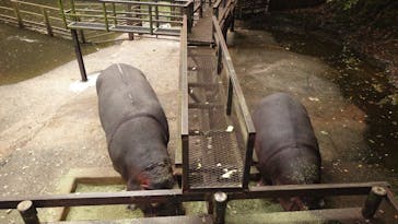 長崎バイオパークに投稿された画像（2023/5/8）