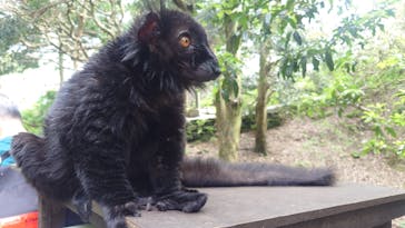 長崎バイオパークに投稿された画像（2023/5/8）