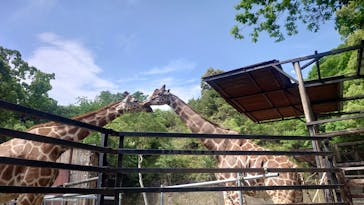 長崎バイオパークに投稿された画像（2023/5/8）