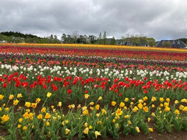 牧歌の里に投稿された画像（2023/5/8）