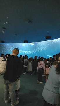 名古屋港水族館に投稿された画像（2023/5/8）