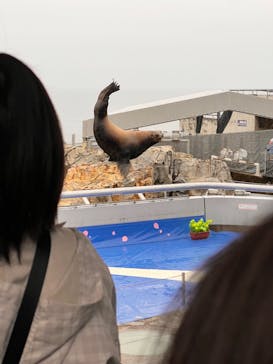 大分マリーンパレス水族館 「うみたまご」に投稿された画像（2023/5/8）