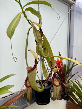 大分マリーンパレス水族館 「うみたまご」に投稿された画像（2023/5/8）