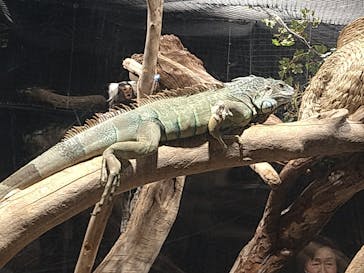 カワスイ 川崎⽔族館に投稿された画像（2023/5/8）