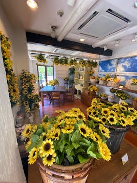 志摩スペイン村パルケエスパーニャに投稿された画像（2023/5/8）