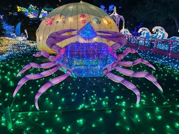 伊豆ぐらんぱる公園に投稿された画像（2023/5/8）