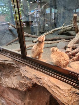 那須どうぶつ王国に投稿された画像（2023/5/8）