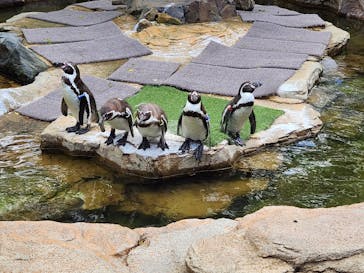 那須どうぶつ王国に投稿された画像（2023/5/8）