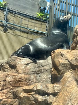 サンシャイン水族館に投稿された画像（2023/5/8）