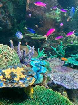 サンシャイン水族館に投稿された画像（2023/5/8）